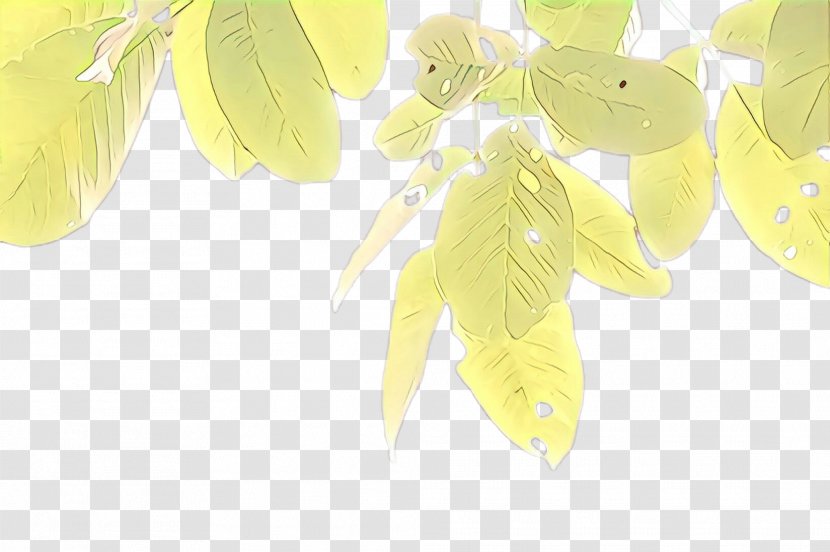 Feather - Yellow - Tree Plant Transparent PNG