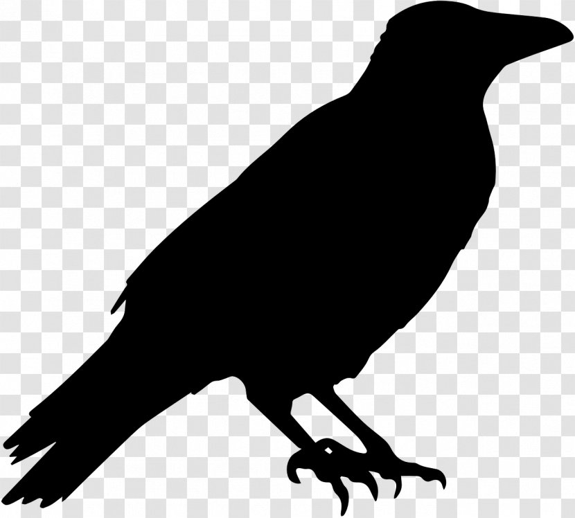 American Crow Common Raven Clip Art - Bird Black And White Transparent PNG