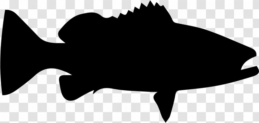Cartoon Clip Art - Canvas Print - Grouper Fish Transparent PNG
