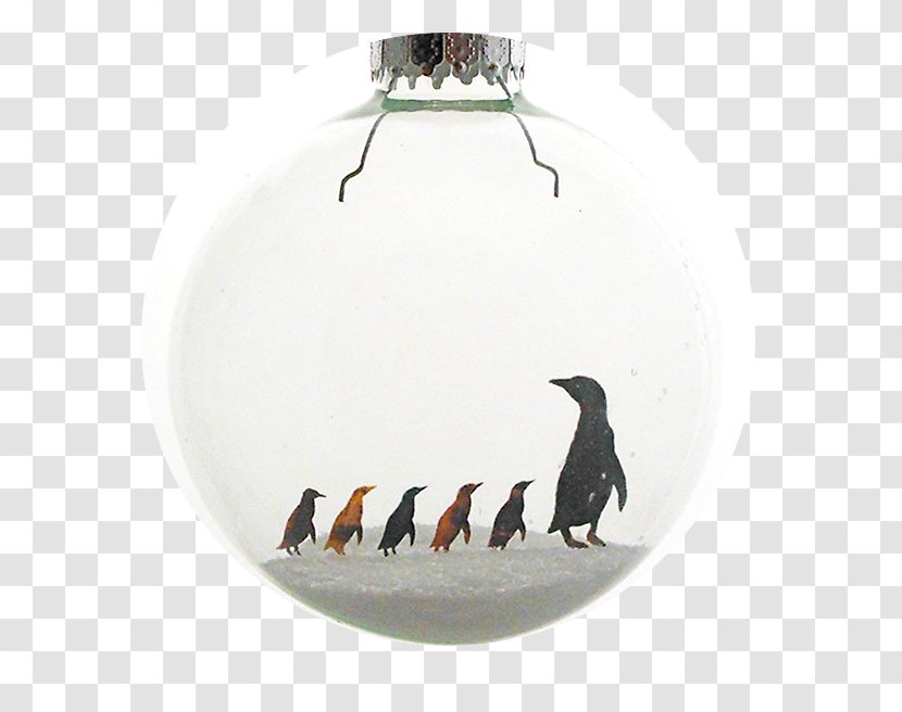Penguin Lamp Shades - Bird Transparent PNG