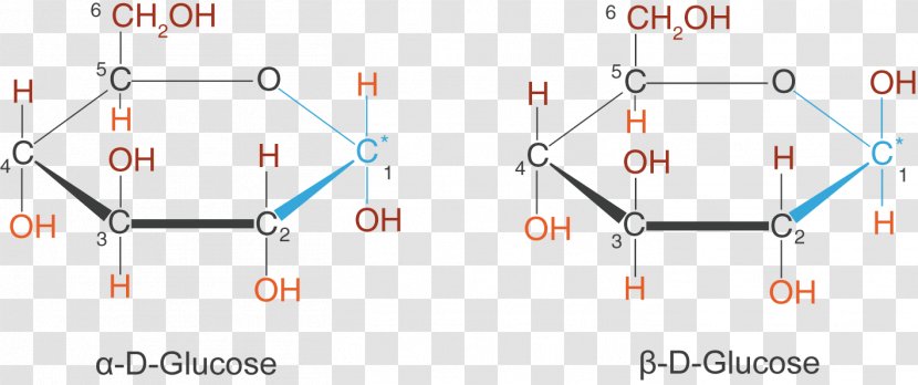 L-Glucose Haworth Projection Stereoisomerism Sugar - Symmetry - Alphabeta Transparent PNG