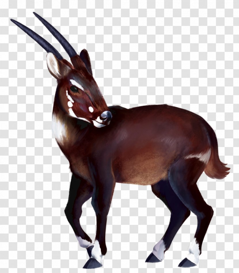 Gemsbok Antelope Deer Horse Saola - Animal Figure - Unicorn Horn Transparent PNG