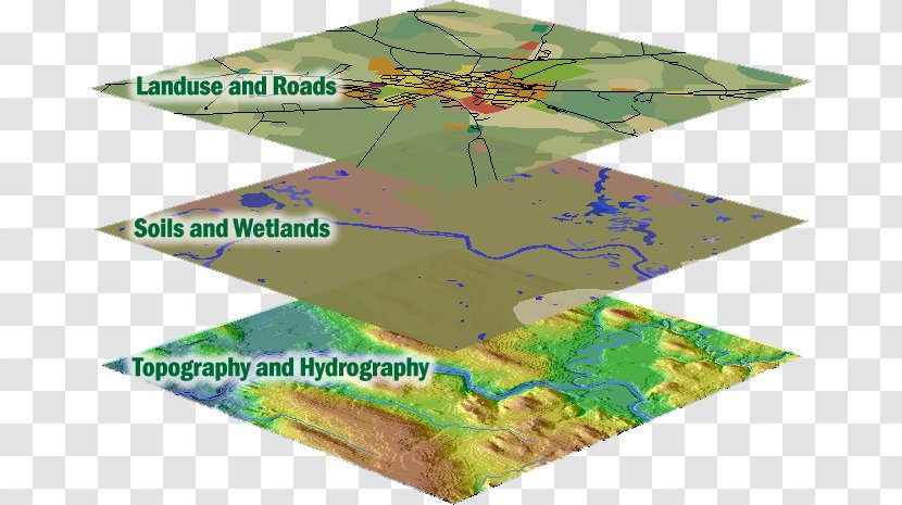 Geographic Information System Map Geography Open Geospatial Consortium - Organism - Data And Transparent PNG