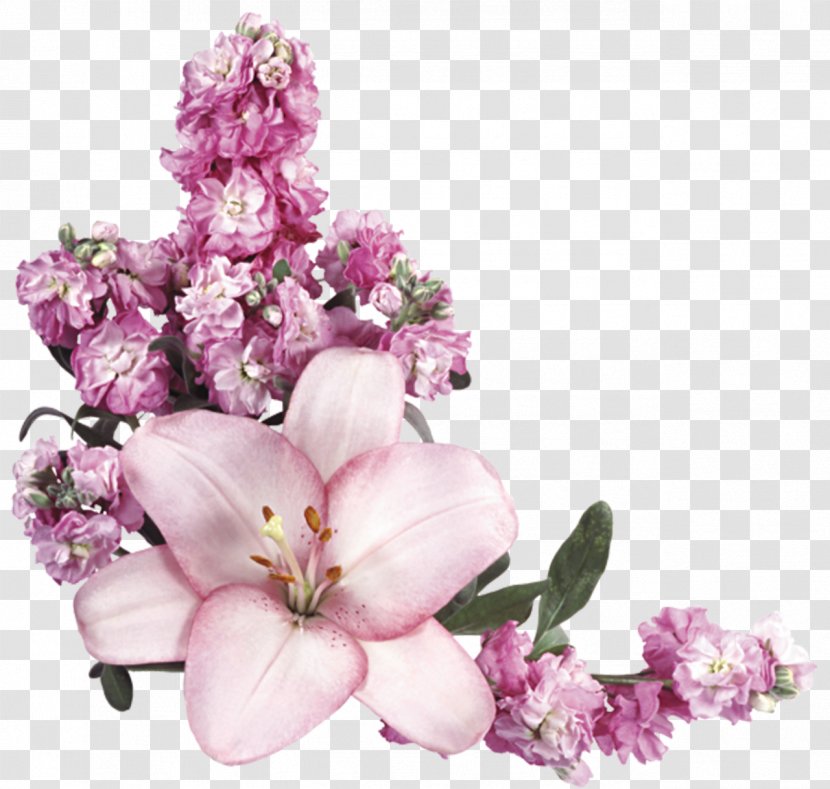 Flower Clip Art - Plant - Pastel Color Transparent PNG