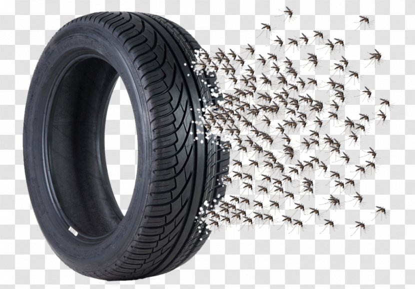 Tread Yellow Fever Mosquito Tire Dengue Transparent PNG