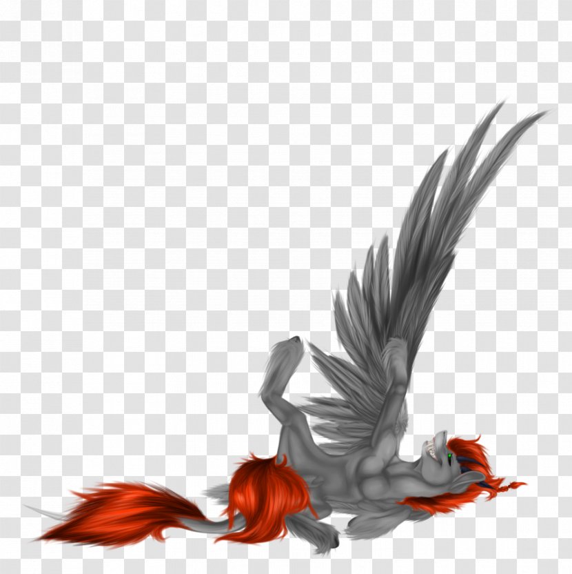 Beak Wing Feather Bird Transparent PNG