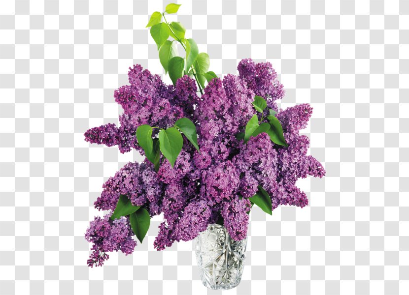 Common Lilac Vase Clip Art - Purple - Flowers Transparent PNG
