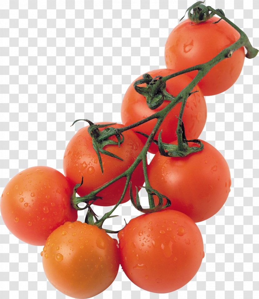Plum Tomato Bush Lycopersicon - Local Food Transparent PNG