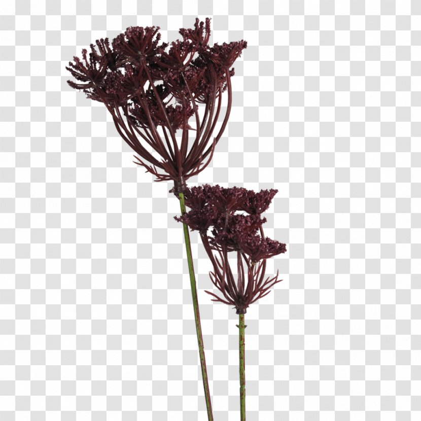 Artificial Flower Red Deer Plant Cut Flowers - Parsley Transparent PNG