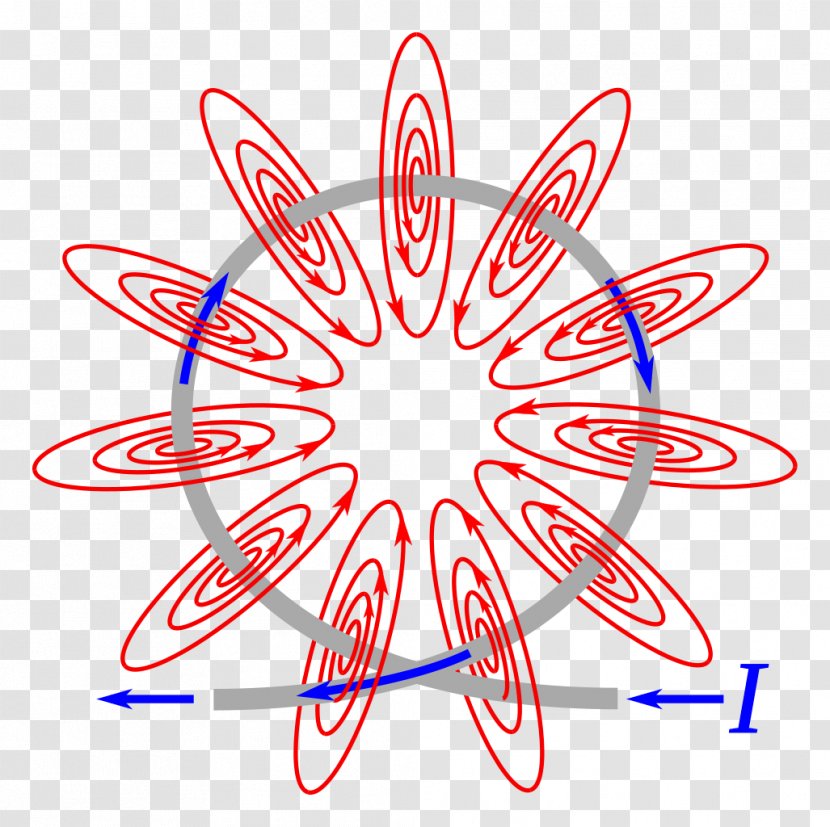 Magnetic Field Electromagnetic Coil Electric Current Craft Magnets - Flower Transparent PNG