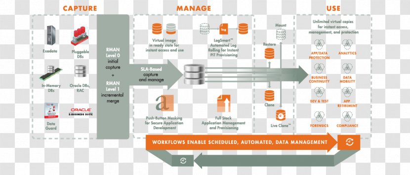 Data Management Oracle Database Virtualization Diagram - Test Paper Transparent PNG