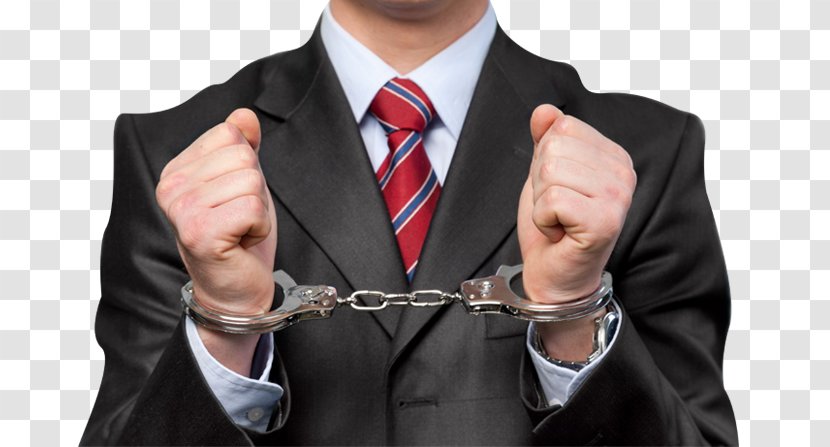 United States Criminal Defense Lawyer Law White-collar Crime - Court Transparent PNG