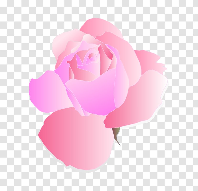 Rose Pink Flowers Clip Art - Blue - Picture Of A Transparent PNG