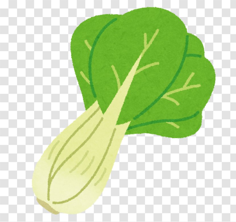Leaf Vegetable Bok Choy Chinese Cabbage Cuisine Transparent PNG