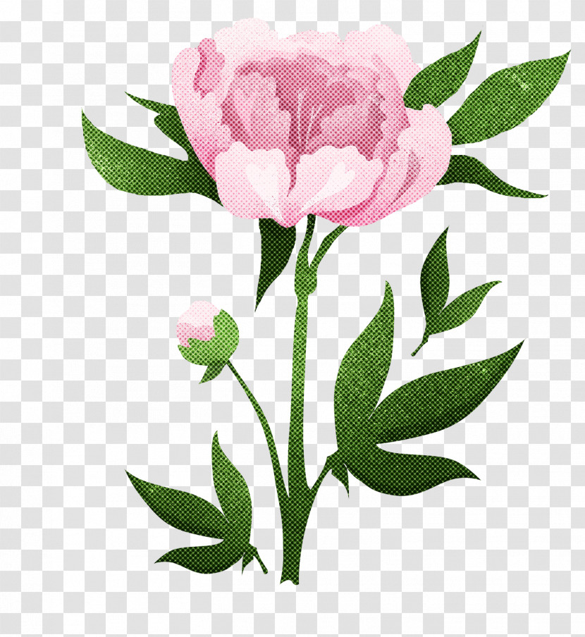 Floral Design Transparent PNG