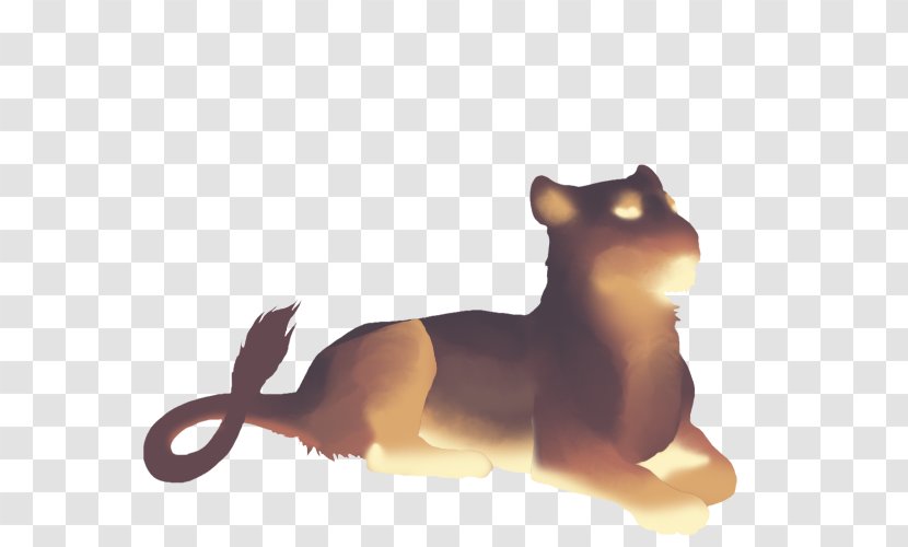 Whiskers Dog Lion Cat Cheetah - Carnivoran Transparent PNG
