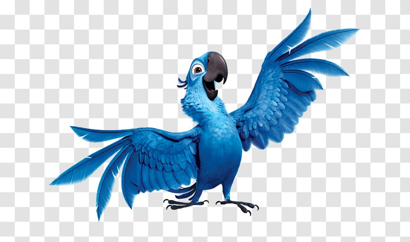 Blu Jewel Nigel Rio De Janeiro Clip Art - Lovebird - Blueandyellow Macaw Transparent PNG