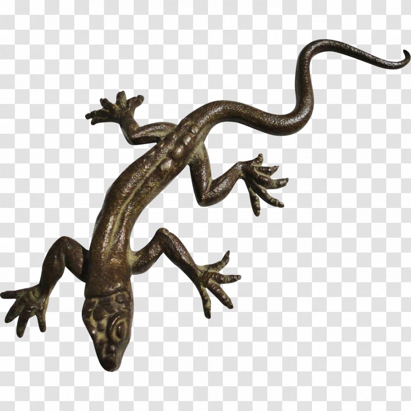 Lizard Reptile Salamander Gecko Paper Transparent PNG