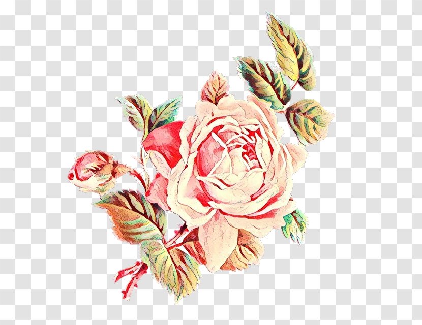 Garden Roses - Bouquet - Rose Family Transparent PNG