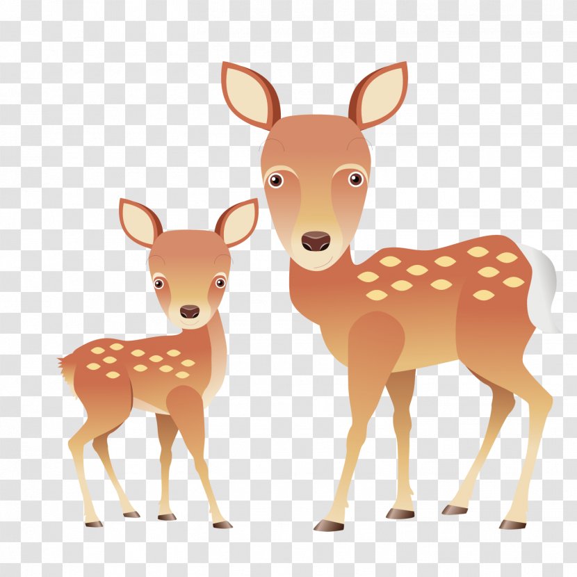 Reindeer Red Deer White-tailed Illustration - Whitetailed - Forest Transparent PNG