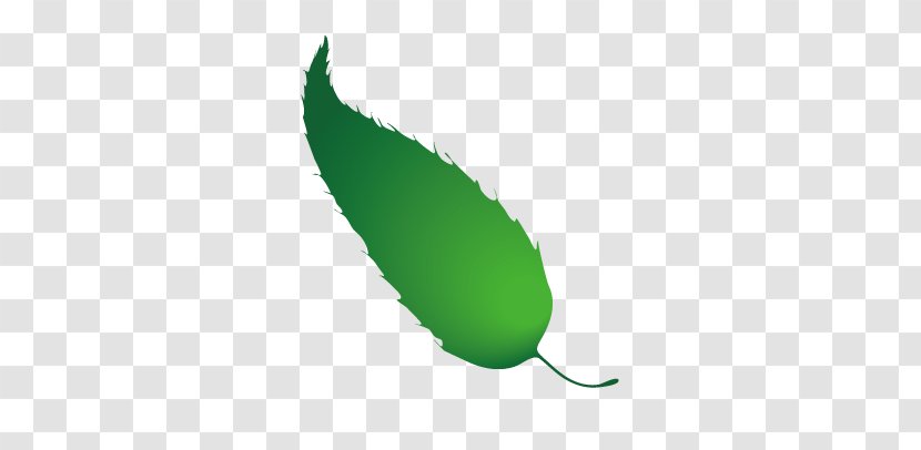 Leaf Green Wallpaper - Leaves Transparent PNG