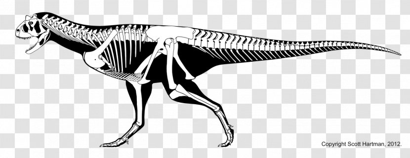 Carnotaurus Tyrannosaurus Xenotarsosaurus Majungasaurus Late Cretaceous - Taurus Transparent PNG
