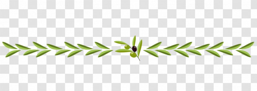 Line Grasses Angle Plant Stem - Family Transparent PNG