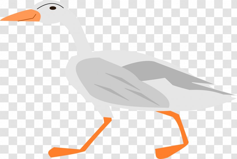 Duck Goose Water Bird Vertebrate - Fauna Transparent PNG