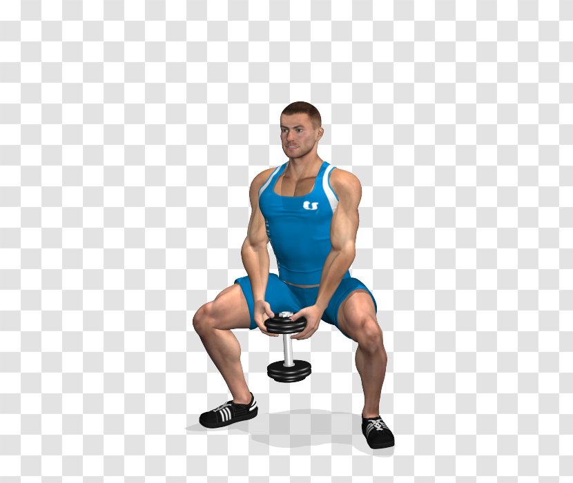 Squat Dumbbell Physical Exercise Deadlift Gluteal Muscles - Tree - Sumo Transparent PNG