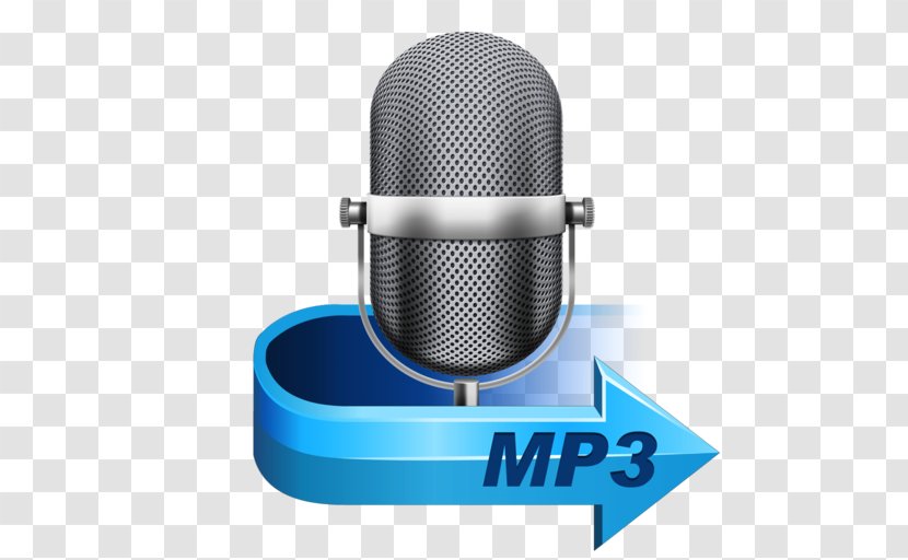 Microphone MP3 Audio File Format Sound Voice Recorder - Flower Transparent PNG