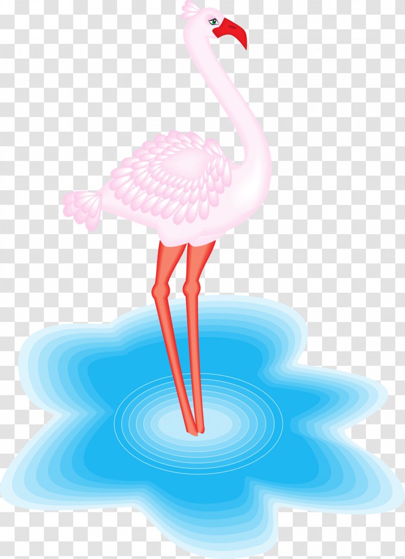 Water Bird Greater Flamingo American - Animal Transparent PNG
