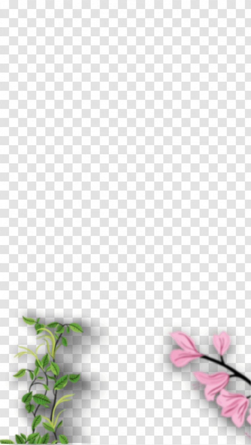 Herbal Tea Infusion Petal - Leaf Transparent PNG