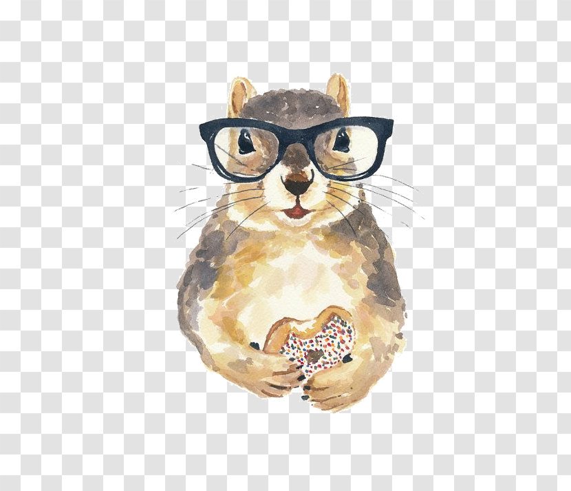 Squirrel Watercolor Painting Nerd Glasses - Vision Care Transparent PNG