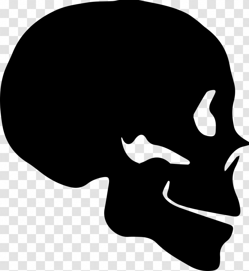 Skull YouTube Silhouette - Shadow Transparent PNG