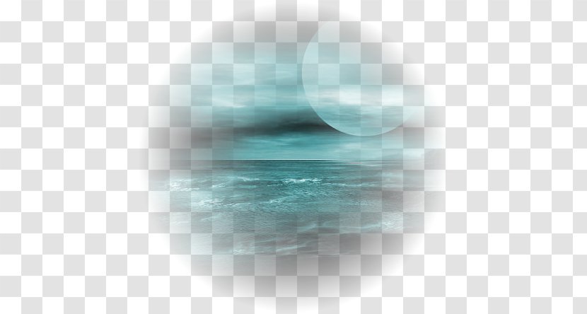 Desktop Wallpaper Sky Light - Bird - Phenomenon Transparent PNG
