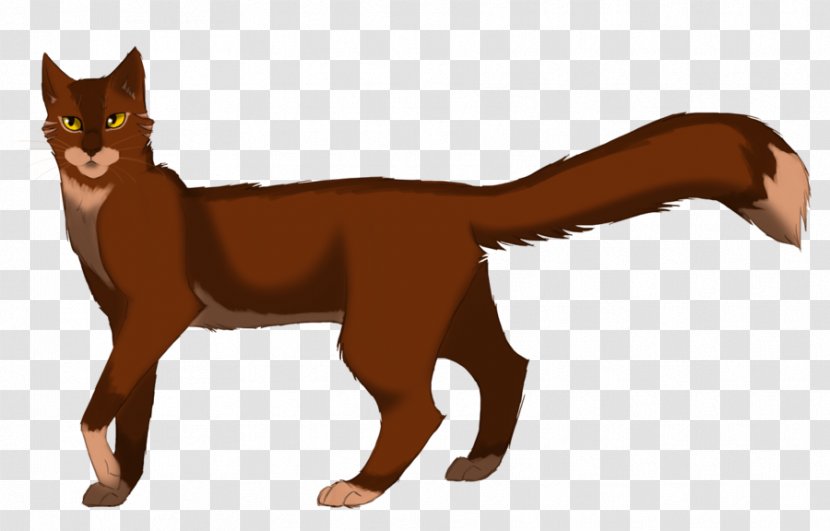Whiskers Cat Kitten Thornclaw Hazeltail Transparent PNG