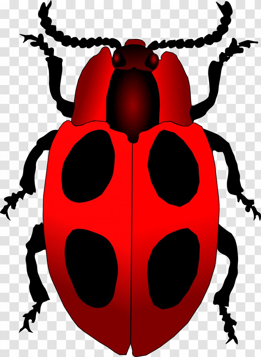 Ladybird Beetle Drawing Clip Art - Brooch - Ladybug Transparent PNG