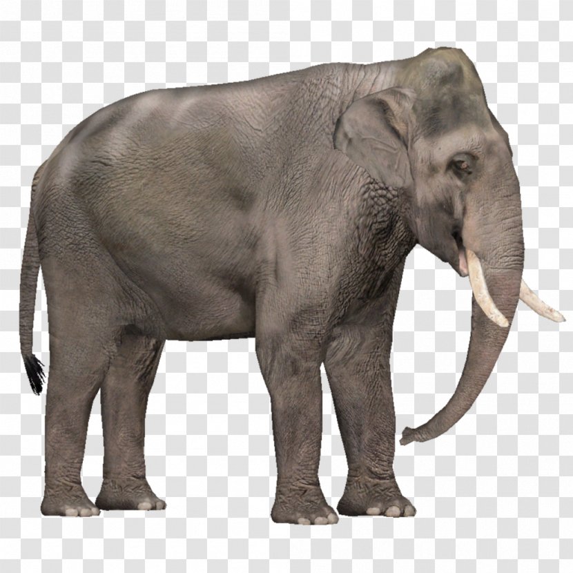 Zoo Tycoon 2 Asian Elephant African Tusk - Animal - Elefant Transparent PNG