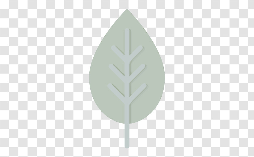 Leaf Green Tree Plant Pine Family Transparent PNG