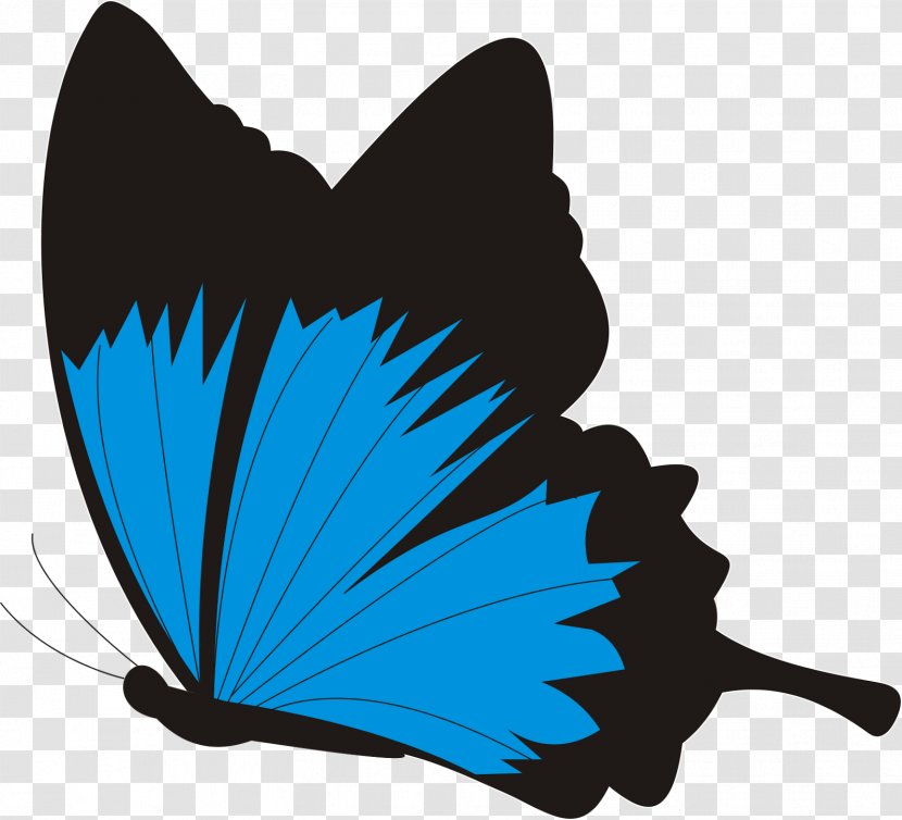 The Day Salon Butterfly Insect Facebook Pollinator - Butterflies And Moths - Vektor Transparent PNG