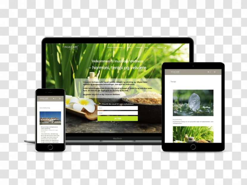 Web Design Website WordPress Multimedia - Grass - Ui Transparent PNG