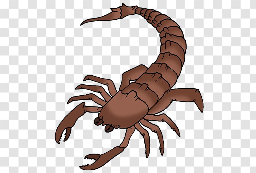 Scorpion Clip Art - Computer Transparent PNG