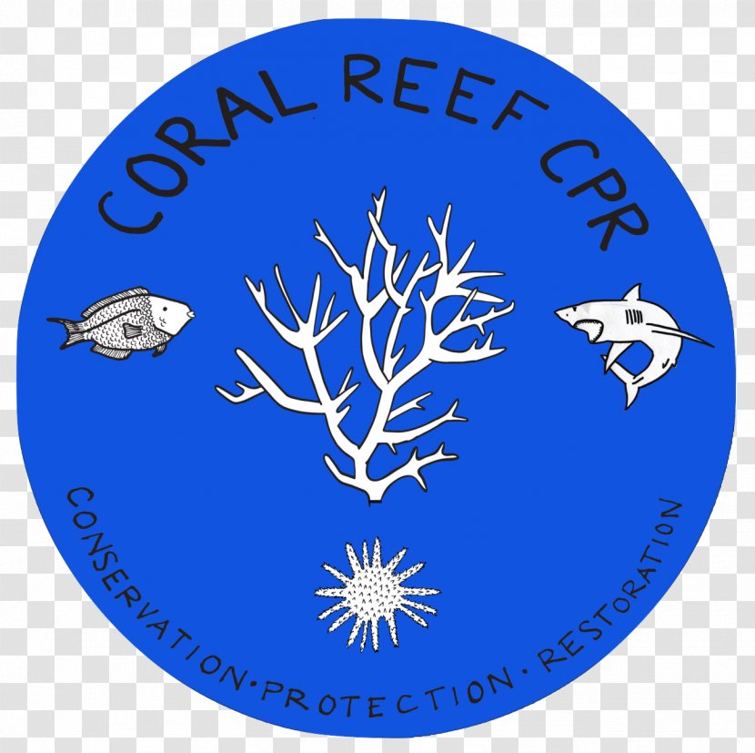 The Global Coral Reef Crisis Marine Biology Transparent PNG