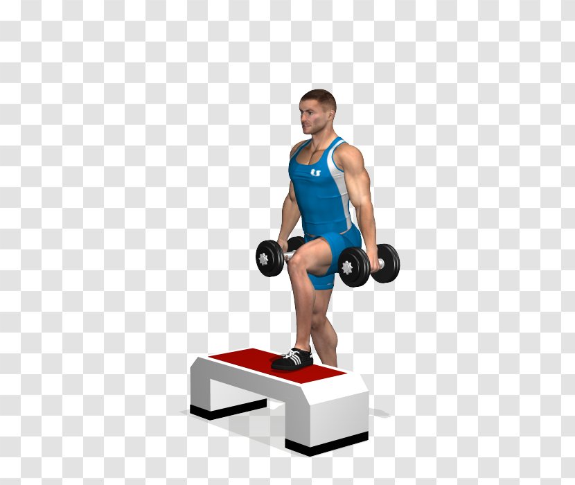Weight Training Exercise Quadriceps Femoris Muscle Dumbbell - Tree - Step Aerobics Routines Transparent PNG