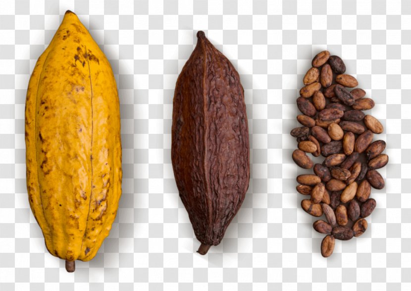 Cocoa Bean Chocolate Nacional Green Leaf - Ingredient Transparent PNG