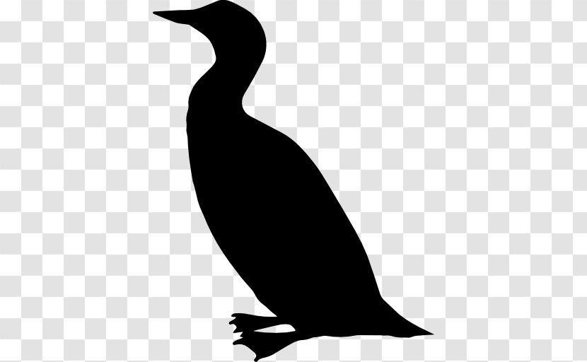 Bird Duck Mallard Cormorant Goose - Flight Transparent PNG