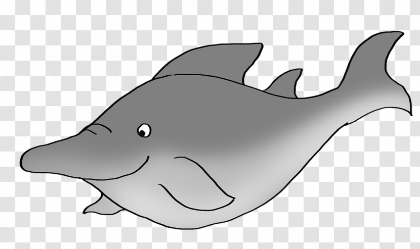 Tucuxi Drawing Cartoon Shark Clip Art - Fish Transparent PNG