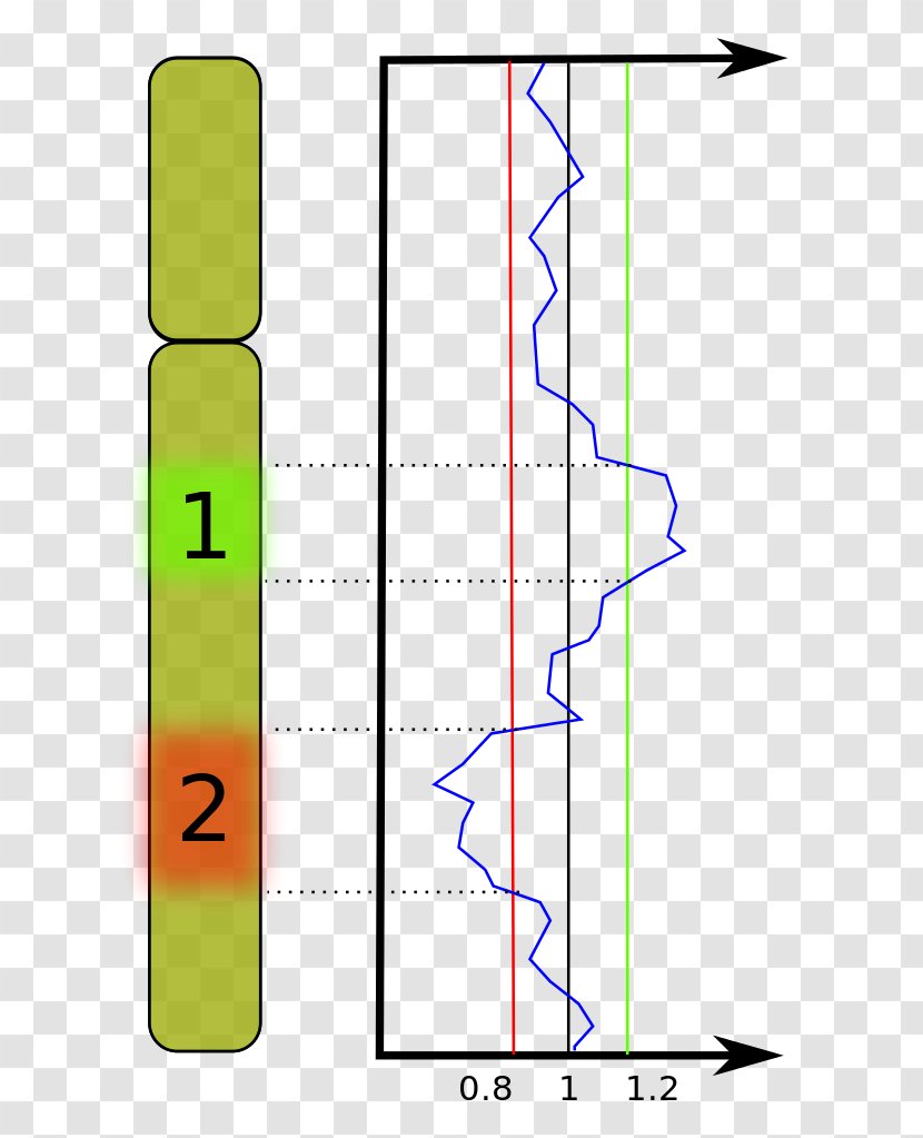 DNA Genome Cell Nucleus Extraction - Diagram - Dna Transparent PNG