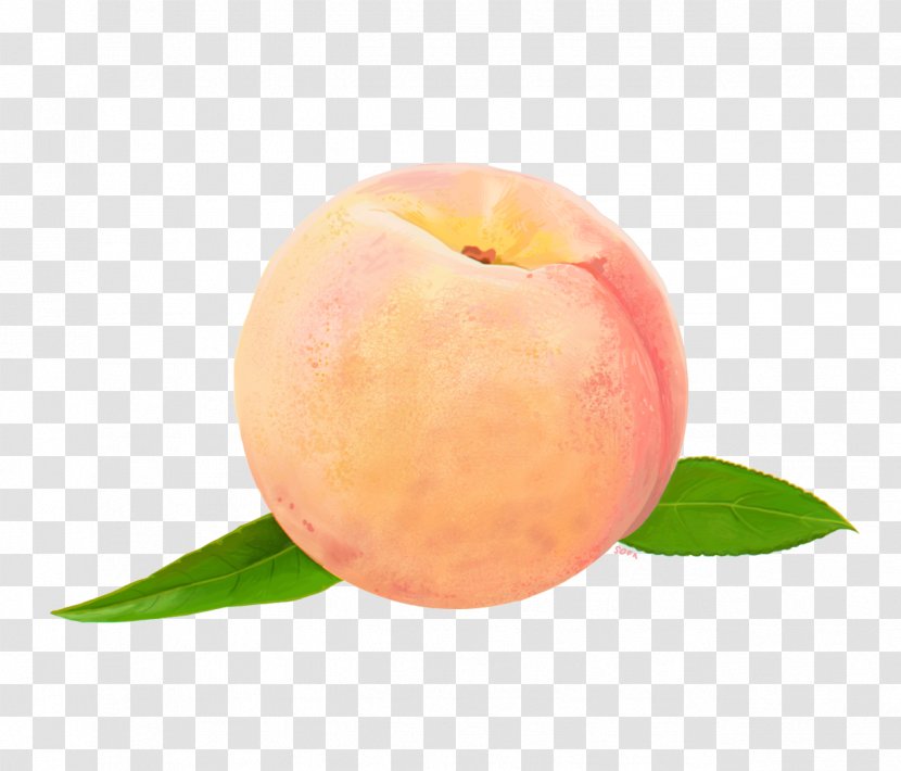 Peach Food Clip Art - Fruit Transparent PNG