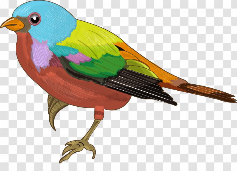 Sparrow Bird Cartoon - Vector Colored Transparent PNG